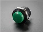 Panel Mount Green Momentary Pushbutton