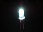 Super Bright White 5mm LED 25 pack