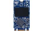 Apacer Technology Inc. SH250-M242 Flash Drives