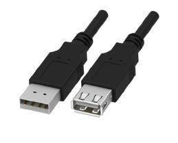 CA-USB-AM-AM-3FT