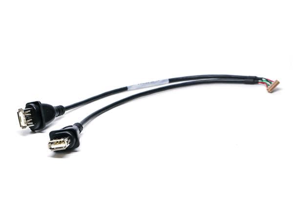 Cable-DF13-8S-1.25-2xUSB