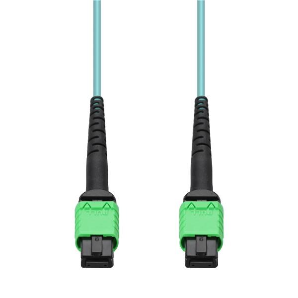 C-16FAMPOAMPO-5M5OM4 C-16FAMPOAMPO-5M5OM4