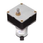 AC, DC & Servo Motors DC Brush Geared Motor 808170, Dir. = 2, 3000 RPM, VDC = 24, Ratio = 125