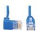 Tripp Lite N204-S02-BL-DN