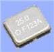 Epson SG-210STF 25.0000ML3