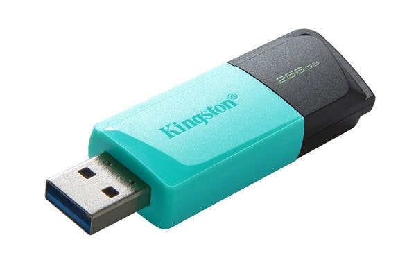 DTXM/256GB DTXM/256GB
