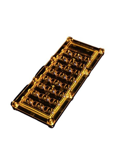 CS19573_AMBER-IP-24-T2-M