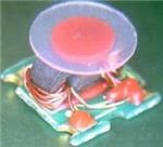 937-MABA009210CT1760