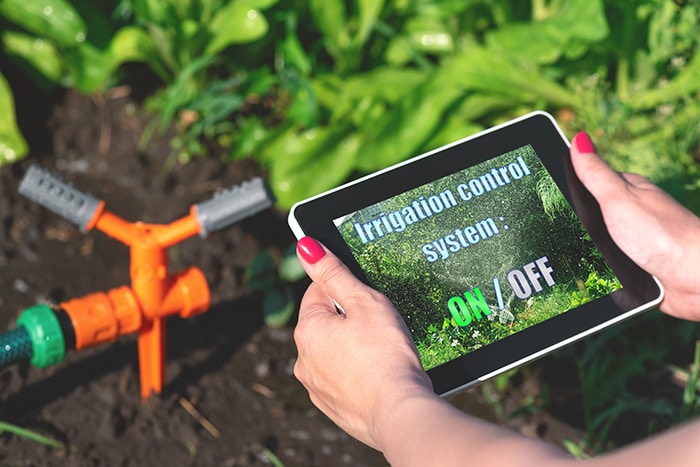 Woman is holding in hand a 
    tablet computer with a program of irrigation control system on a garden sprinkler background.