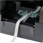 TDP43ME-TB-KIT