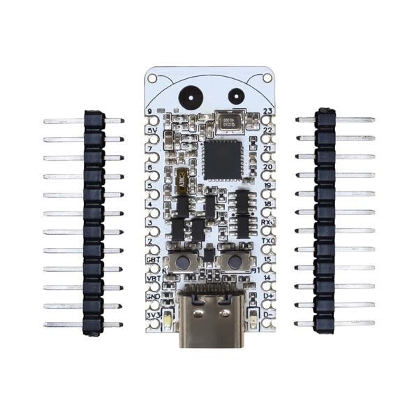 ESP32-C6-BUG