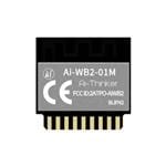 Ai-WB2-01M