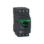 Circuit Breakers TeSys Manual Switch 600VAC 50A