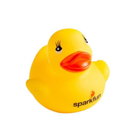 DUCK-24079