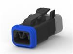 DT06-2S-FP02