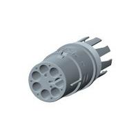 293616-5 TE Connectivity / AMP | Mouser