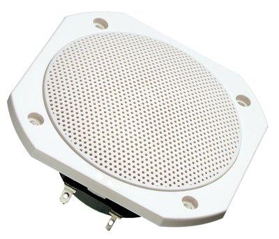 FRS 10 WP - 4 OHM (WHITE)