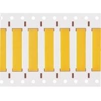 1961920000 1961920000